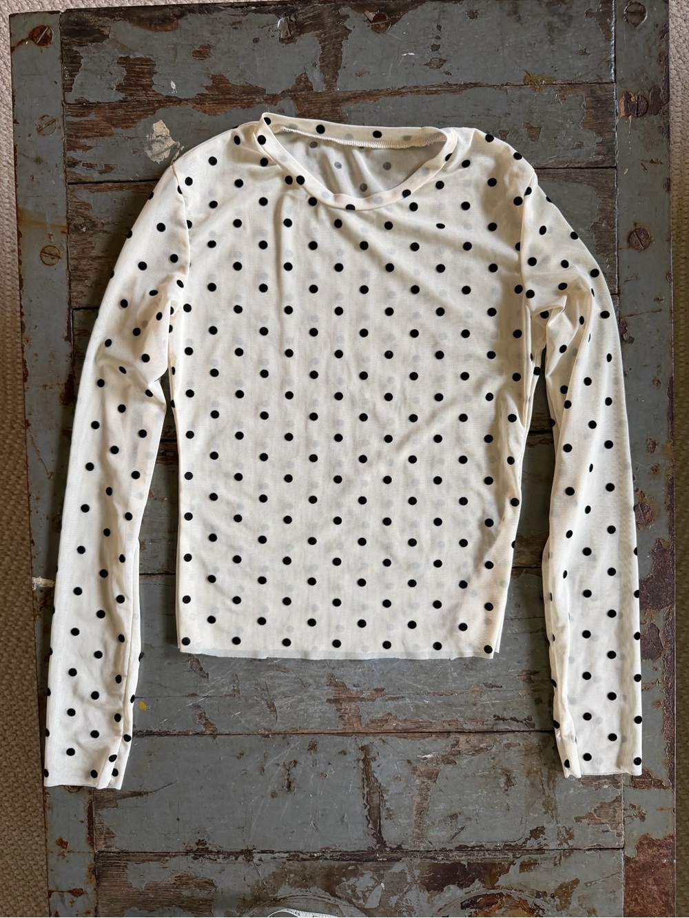 Sheer Cream Polka Dot Long-Sleeve Tee with Raw Hems